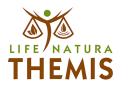 logo_themis